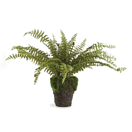 16” drop in fern