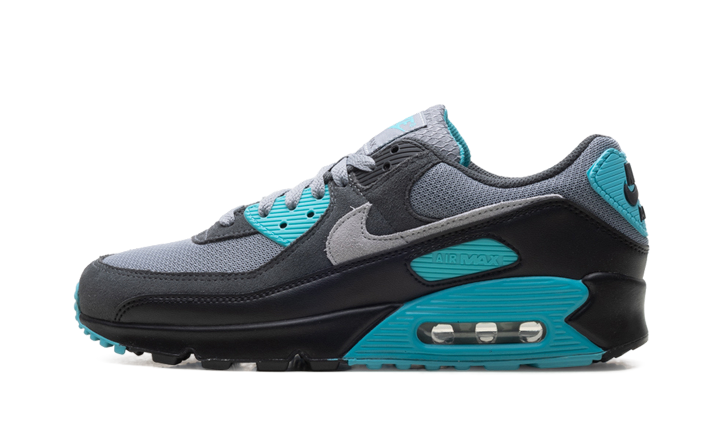 Air Max 90 "Dusty Cactus" DM0029 013