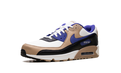 Air Max 90 Gore-Tex "Lapis" FD5810 100