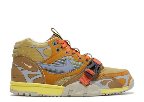 Air Trainer 1 SP Coriander