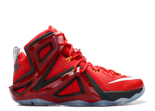 LeBron 12 Elite Team (WORN)