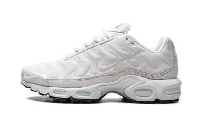 Air Max Plus WMNS "Platinum Tint" FZ4342 001