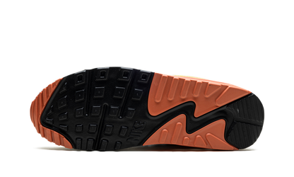 AIR MAX 90 MNS WMNS DJ9991 100