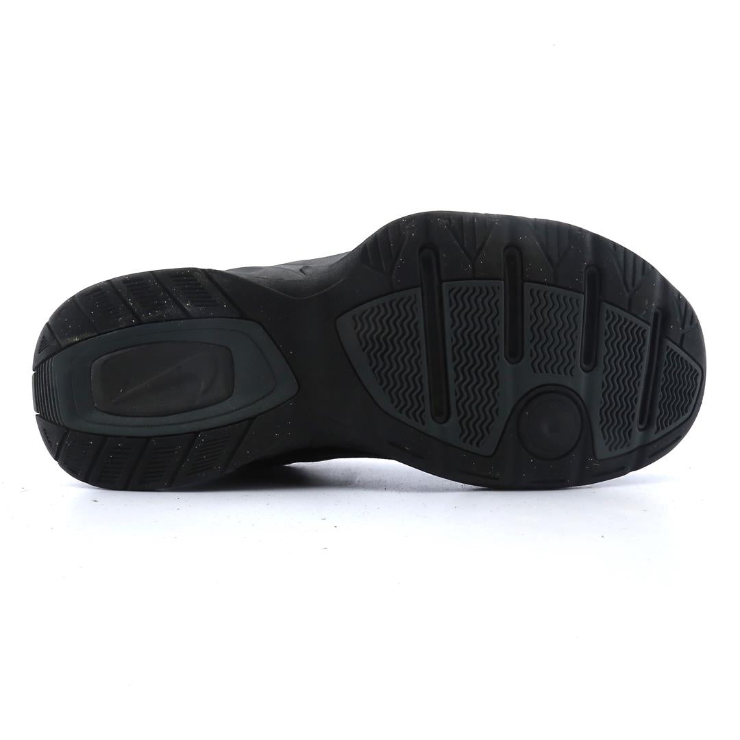 AIR MONARCH IV