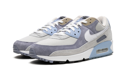 Air Max 90 "Ashen Slate" DM0035 400