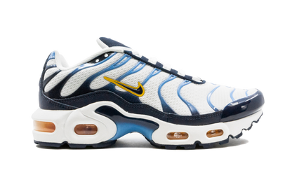 Air Max Plus CD0609 100