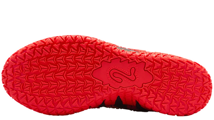 Ja 3 Lunar New Year