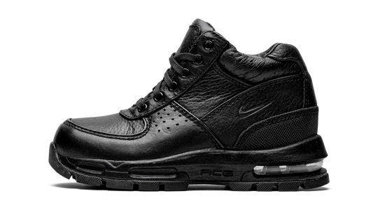 Air Max Goadome PS 311568 001
