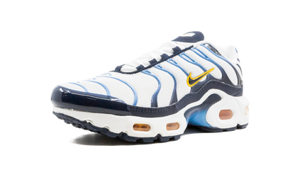 Air Max Plus CD0609 100