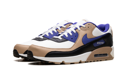 Air Max 90 Gore-Tex "Lapis" FD5810 100