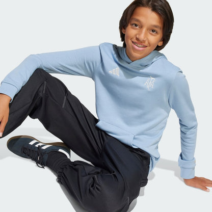 Kids' adidas Argentina Anniversary DNA Hoodie Kids