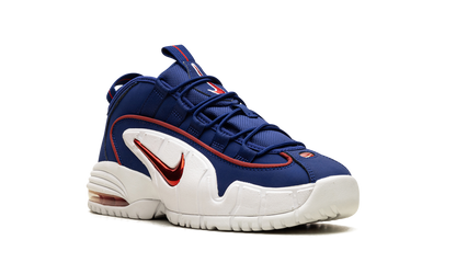 Air Max Penny Le (Gs) 315519 400