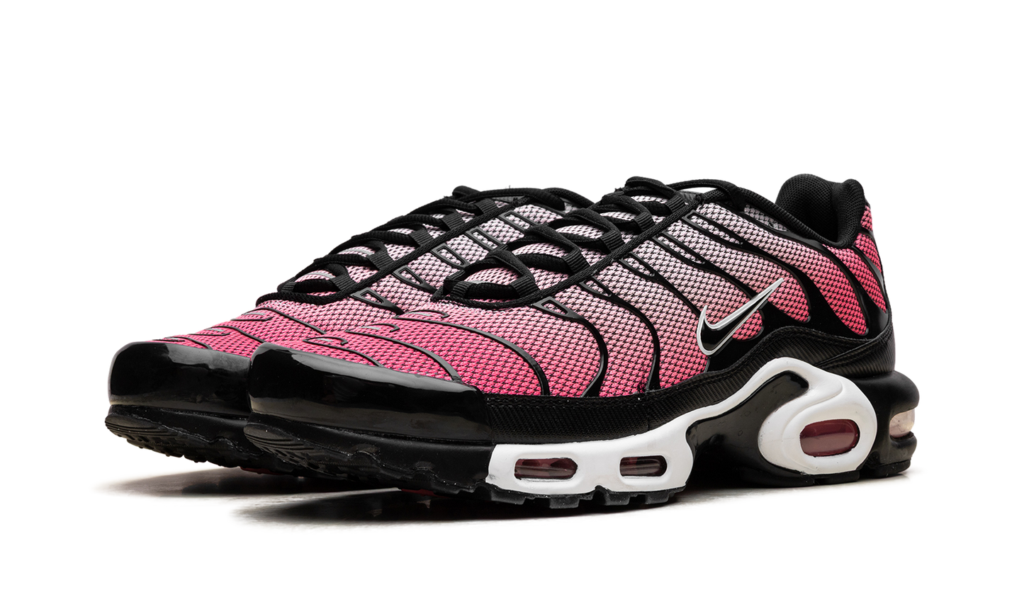 Air Max Plus "All Day" HF3837 600