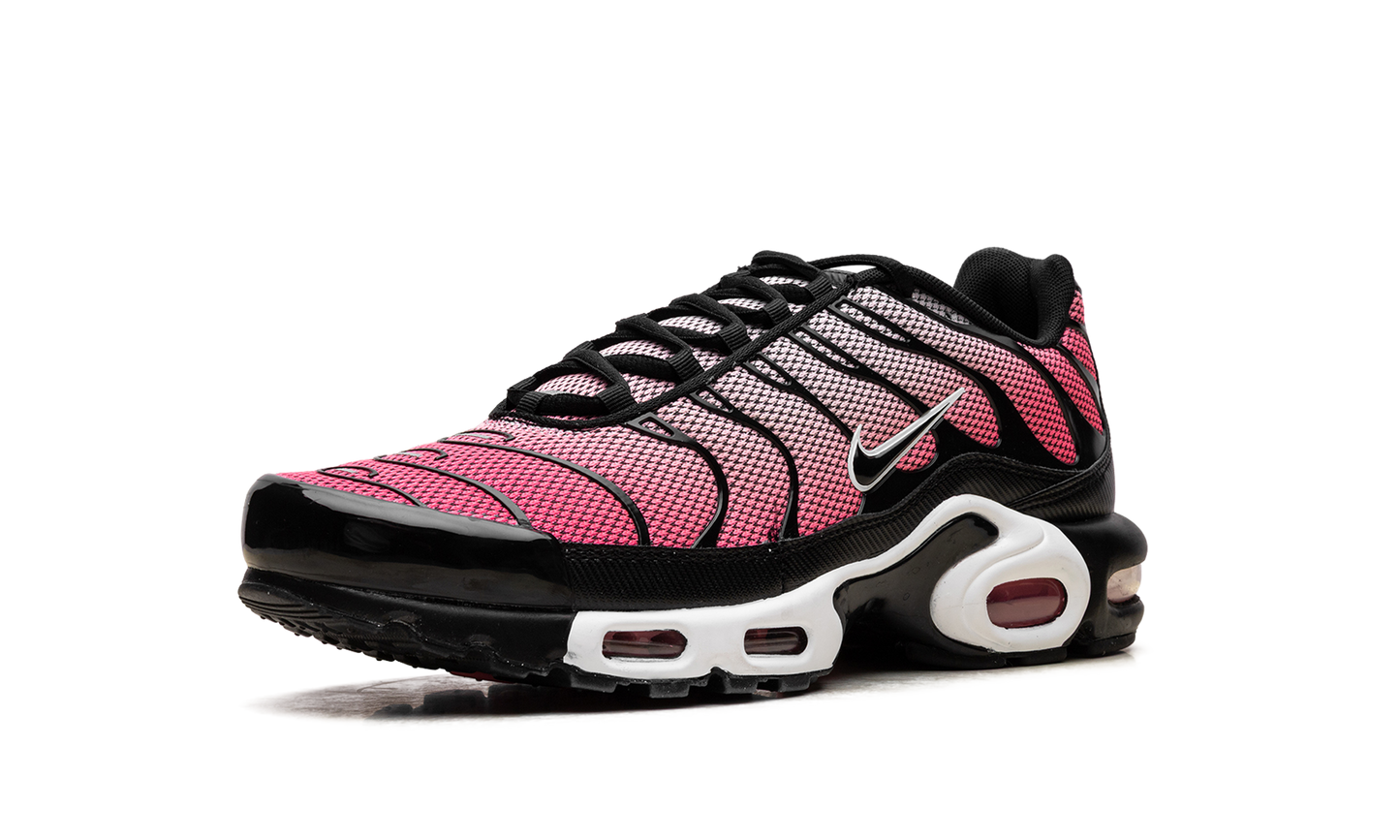 Air Max Plus "All Day" HF3837 600