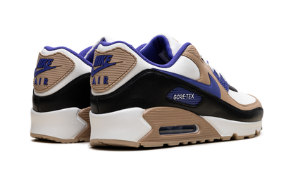 Air Max 90 Gore-Tex "Lapis" FD5810 100