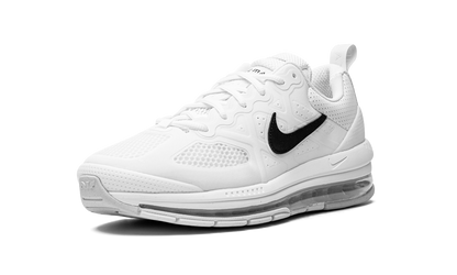 Air Max Genome