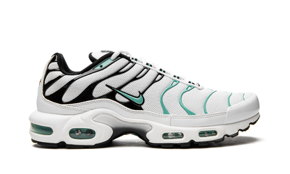 Air Max Plus "Atmos" 604133 148