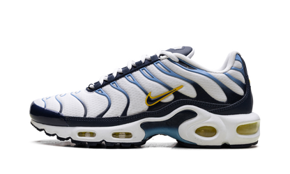 Air Max Plus CT1094 100