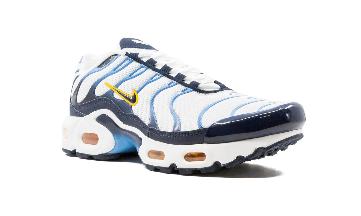 Air Max Plus CD0609 100