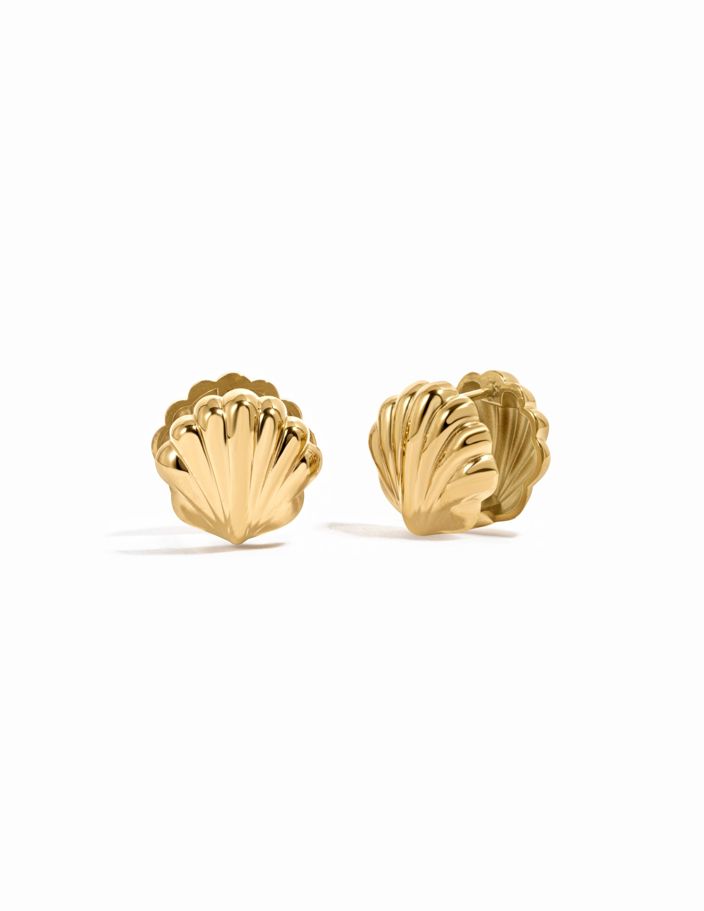 Seashell Earrings