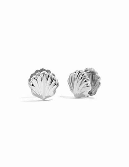 Seashell Earrings