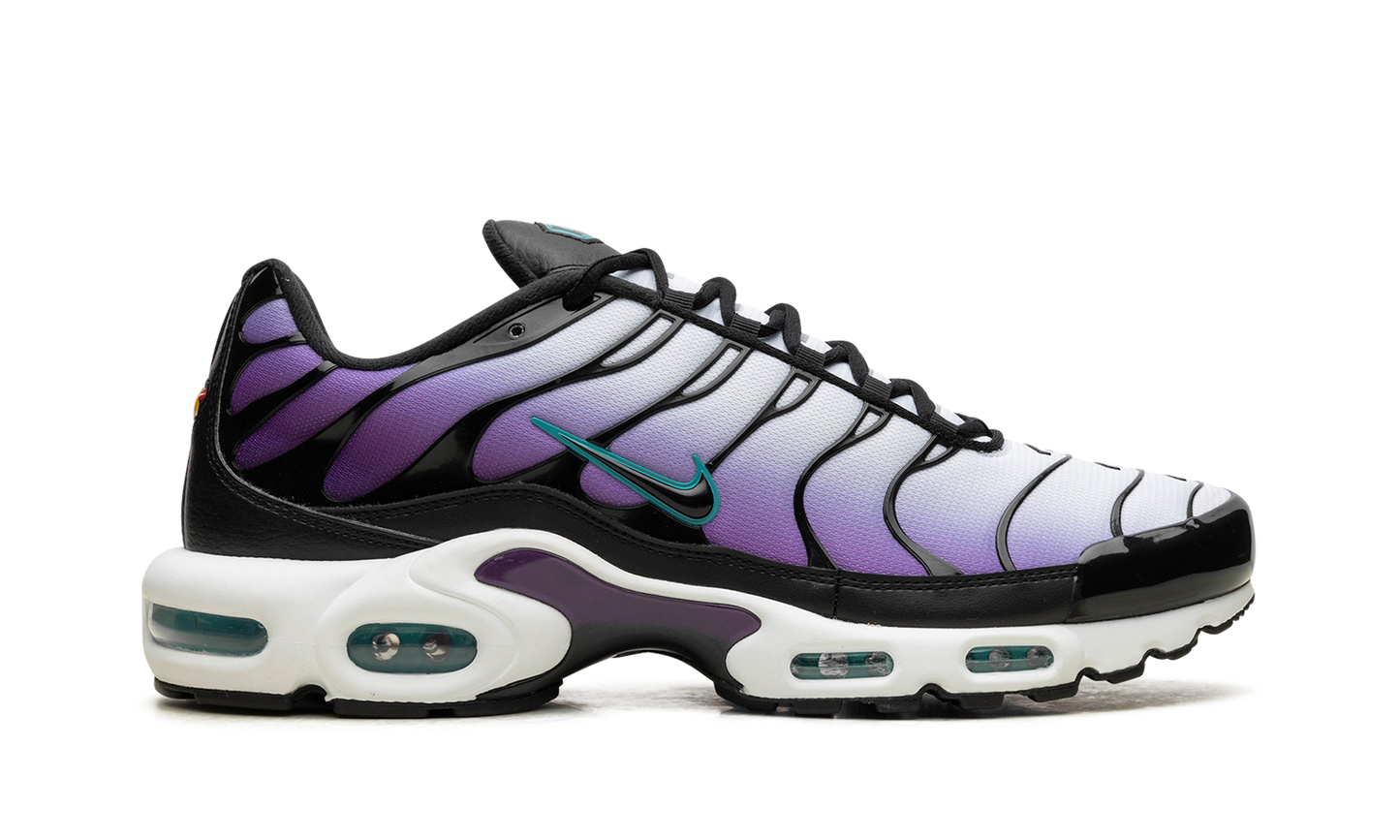 Air Max Plus "Reverse Grape" FQ2415 500