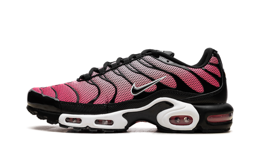 Air Max Plus "All Day" HF3837 600