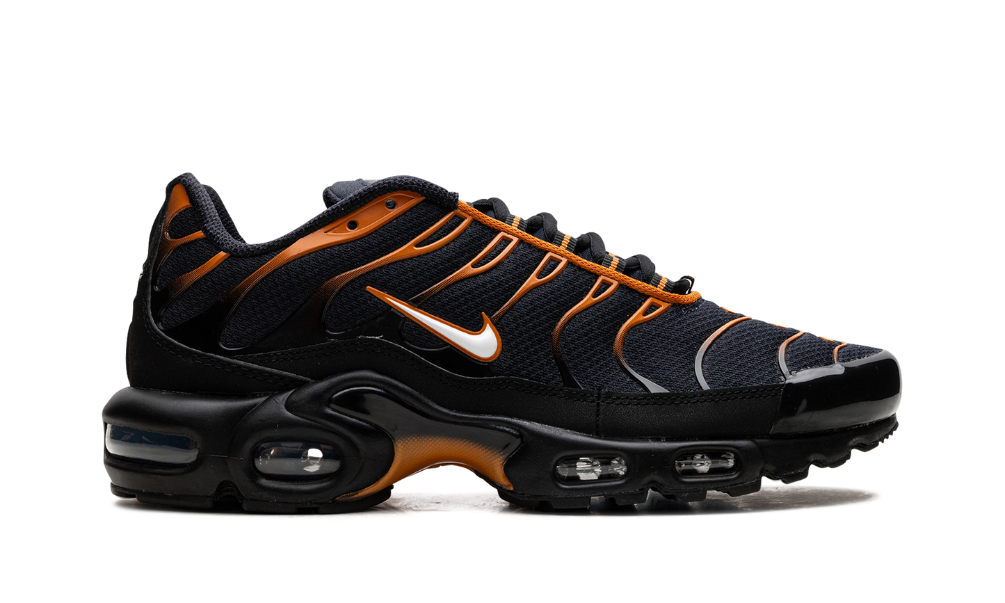 Air Max Plus "OBSIDIAN MONARCH" FN6949 400